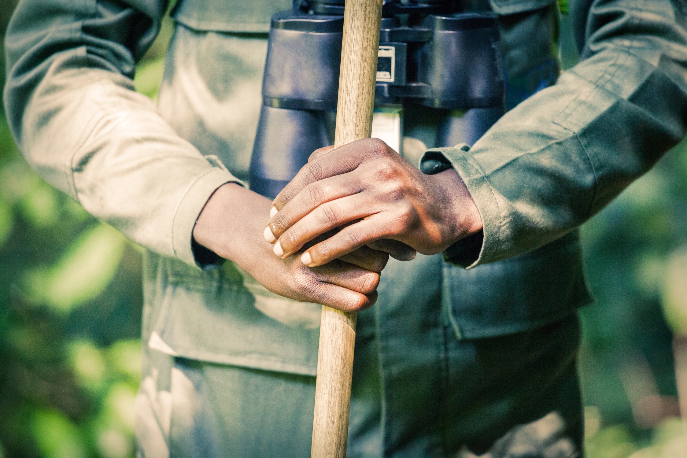 African tour guide in the jungle